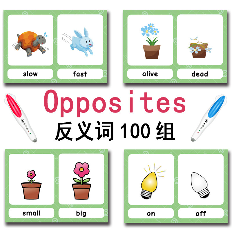 แฟลชการ์ดคำศัพท์ภาษาอังกฤษ 100 - Kids Early Education บทวิจารณ์และราคา