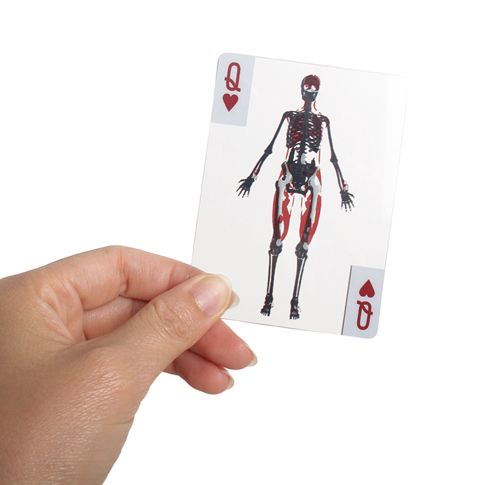 การ์ดภาพสามมิติเพื่อการศึกษา ท - Kids Education Images บทวิจารณ์และราคา